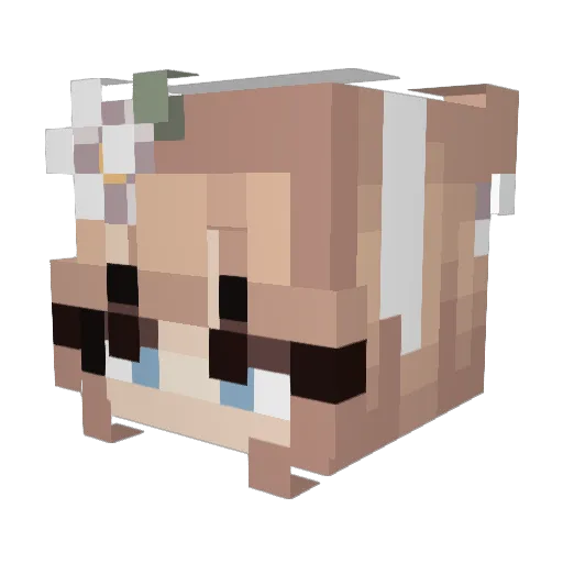 Driwen Minecraft avatar head, 3D render