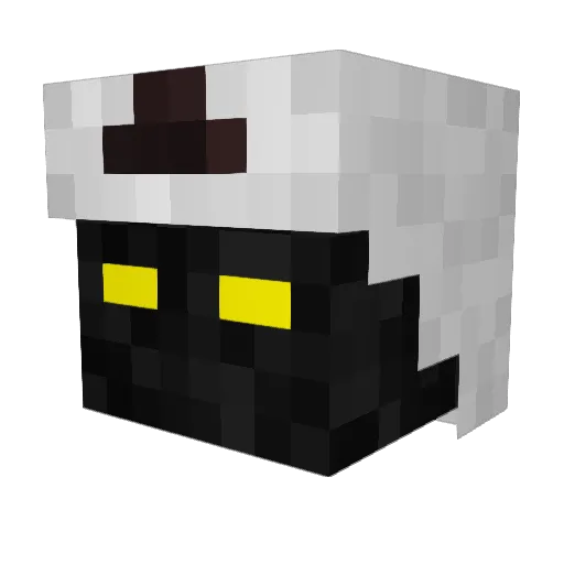 Drixlli Minecraft avatar head, 3D render