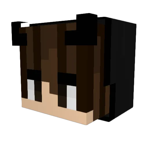 Drixsm Minecraft avatar head, 3D render