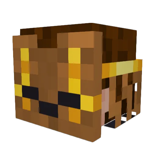 DrizlyD Minecraft avatar head, 3D render