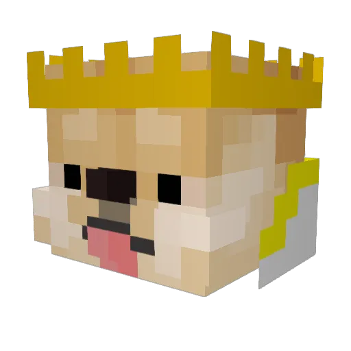 Drizz296 Minecraft avatar head, 3D render