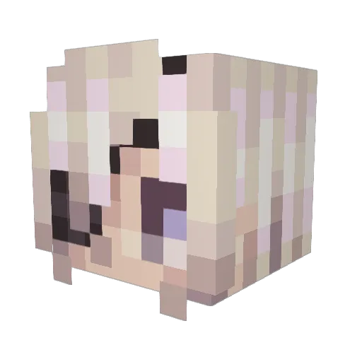 Drizzy221 Minecraft avatar head, 3D render