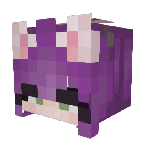 Drizzy231 Minecraft avatar head, 3D render
