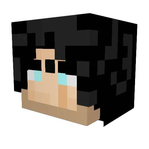 DrizzyTx Minecraft avatar head, 3D render