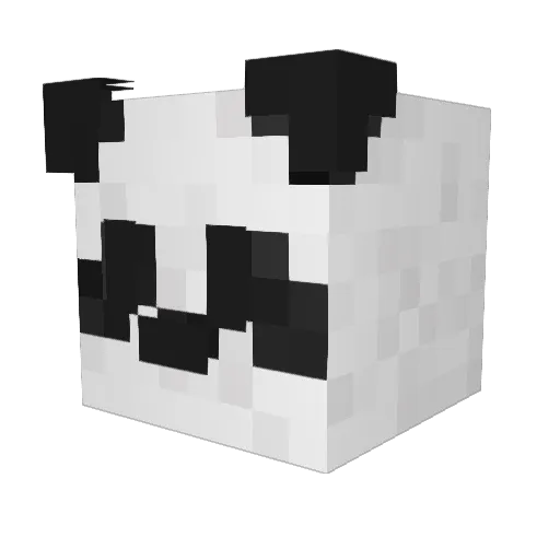 Drizzydris Minecraft avatar head, 3D render