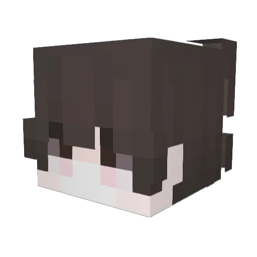 Drizzyh Minecraft avatar head, 3D render