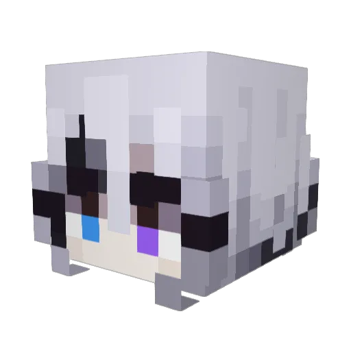 Drn_Shadown Minecraft avatar head, 3D render