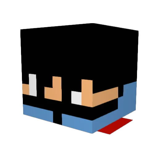 DroGetPax Minecraft avatar head, 3D render