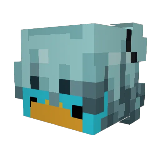 Minecraft-Avatar von Drofin_: Kopf als 3D-Render