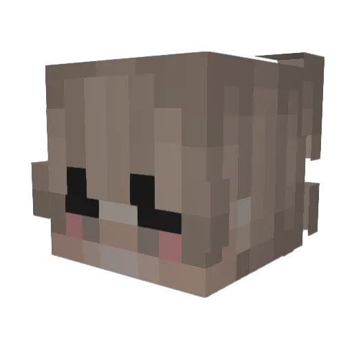 Drogaito Minecraft avatar head, 3D render