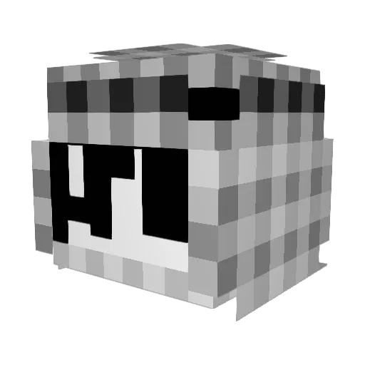 Drogaxker Minecraft avatar head, 3D render