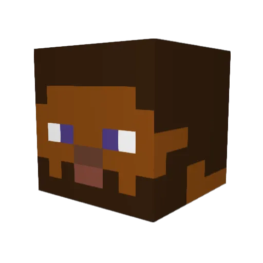 DrogbaSneijder Minecraft avatar head, 3D render