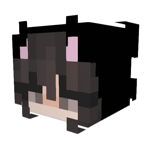 Drogenbesitzer Minecraft avatar head, 3D render