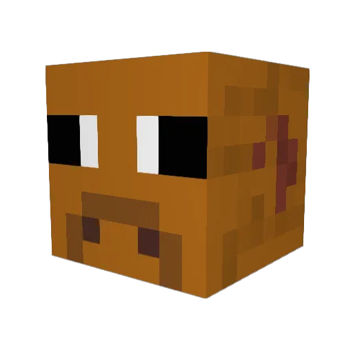 Drogenschmuggler Minecraft avatar head, 3D render
