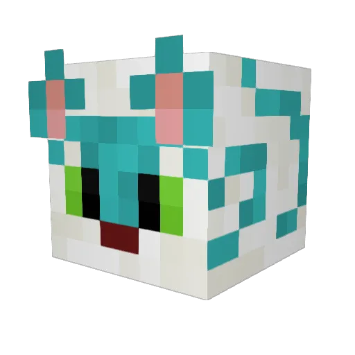 Drogna1 Minecraft avatar head, 3D render