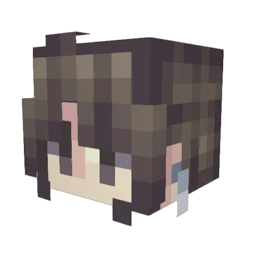 Droguet Minecraft avatar head, 3D render