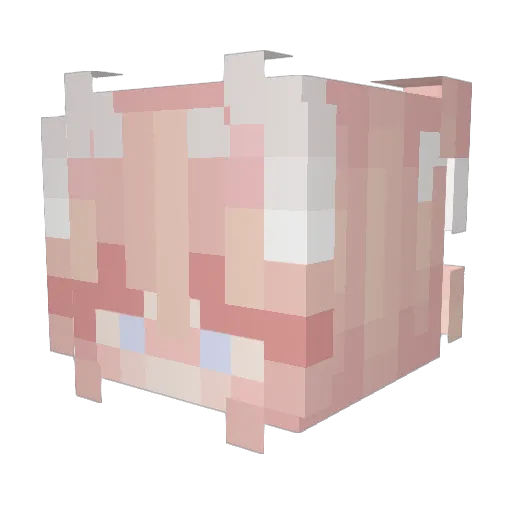 Drogyo Minecraft avatar head, 3D render