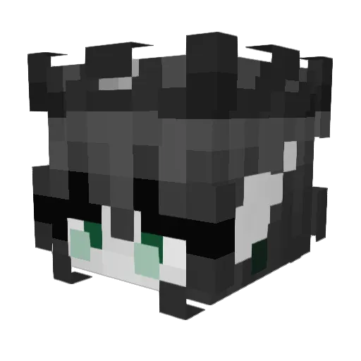 Droid_Security Minecraft avatar head, 3D render