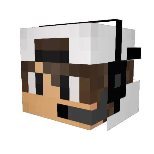Droidcraft2005 Minecraft avatar head, 3D render