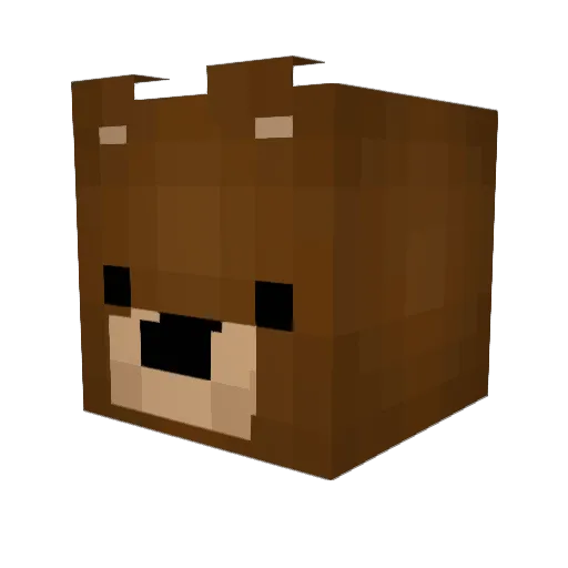 Droidenfamile Minecraft avatar head, 3D render