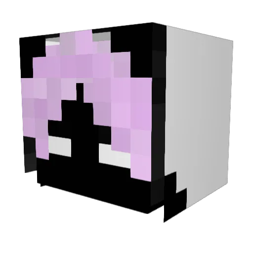 Drojnix_pl Minecraft avatar head, 3D render