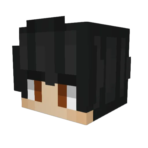 Dronkeymonkey Minecraft avatar head, 3D render