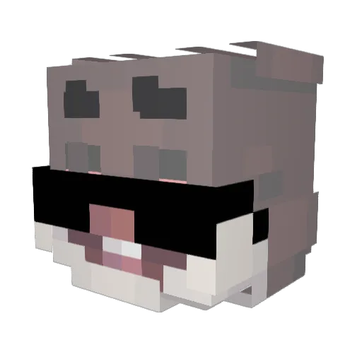 Dronnes Minecraft avatar head, 3D render