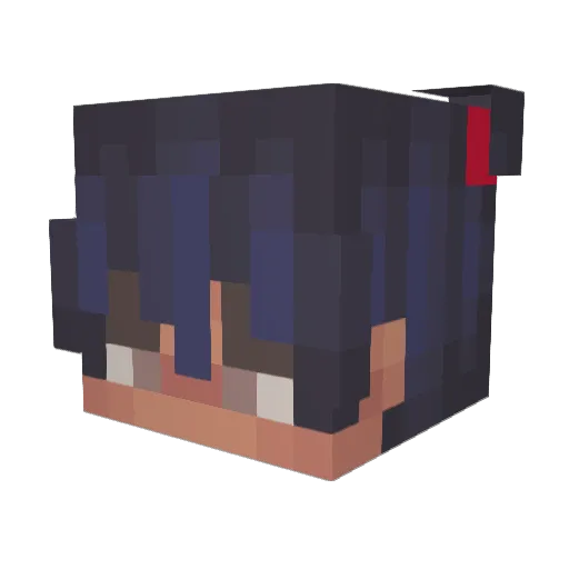 DroogWqter Minecraft avatar head, 3D render