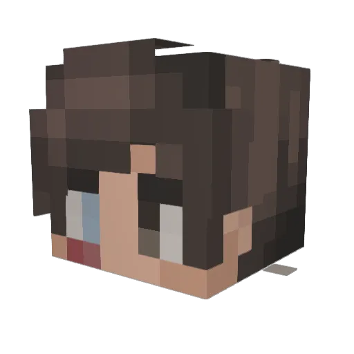 Drooo12 Minecraft avatar head, 3D render