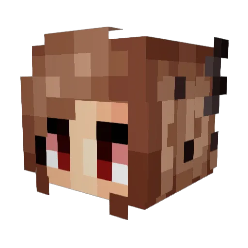 DroopyMC Minecraft avatar head, 3D render