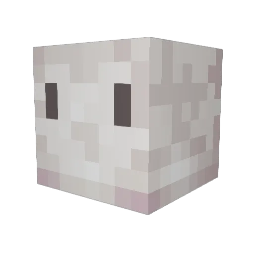 Droot Minecraft avatar head, 3D render