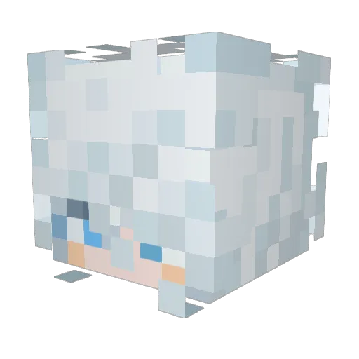 DropFish233 Minecraft avatar head, 3D render