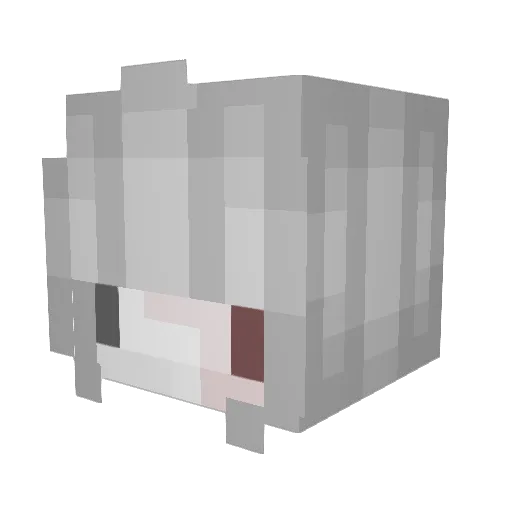 DropTheKnife Minecraft avatar head, 3D render