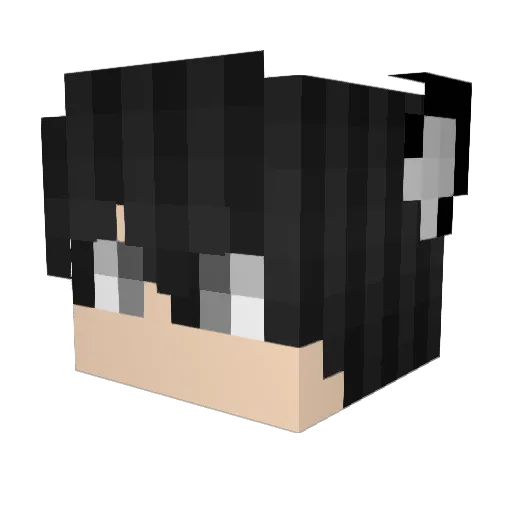 Drop__shadow Minecraft avatar head, 3D render