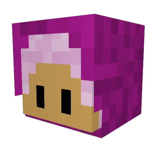 Droplette Minecraft avatar head, 3D render