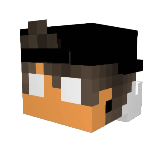 Dropped2Fast Minecraft avatar head, 3D render