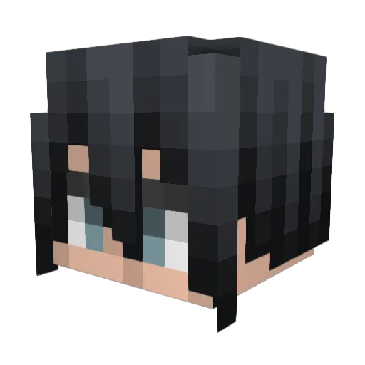 DroppingSober0 Minecraft avatar head, 3D render