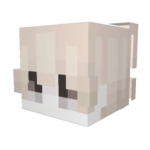 Drose1031 Minecraft avatar head, 3D render