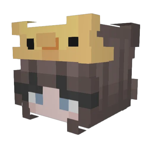 Drosha_ Minecraft avatar head, 3D render