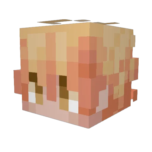 Droups Minecraft avatar head, 3D render
