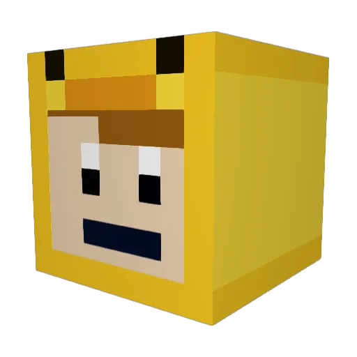 DrownedFish143 Minecraft avatar head, 3D render