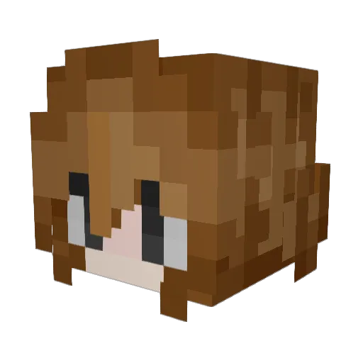 DrowntheFrowns Minecraft avatar head, 3D render