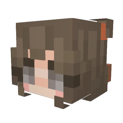 DrowsyCody Minecraft avatar head, 3D render