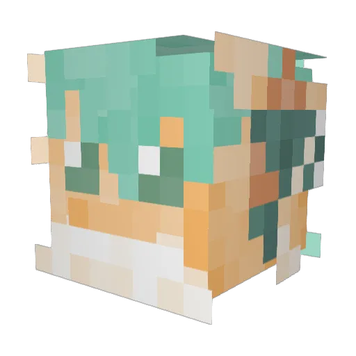 DrowsyDragon6 Minecraft avatar head, 3D render