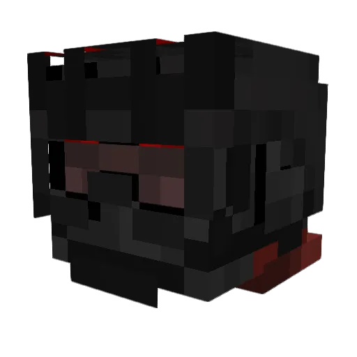 DrowsySeal12372 Minecraft avatar head, 3D render