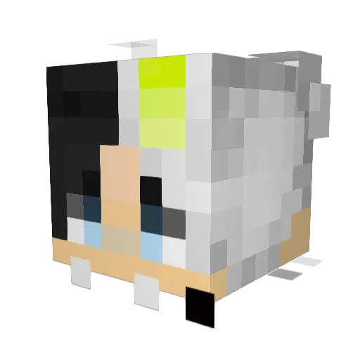 DroxHxpnotic Minecraft avatar head, 3D render