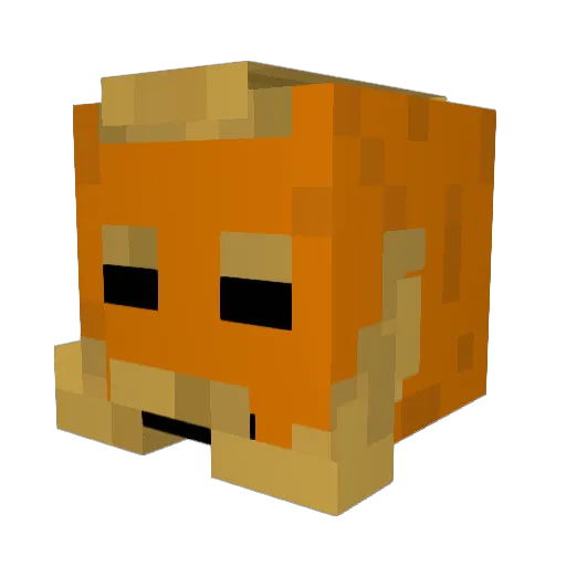 Droze_fr Minecraft avatar head, 3D render
