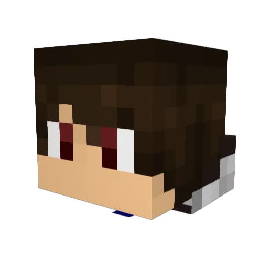Drpepperbro209 Minecraft avatar head, 3D render