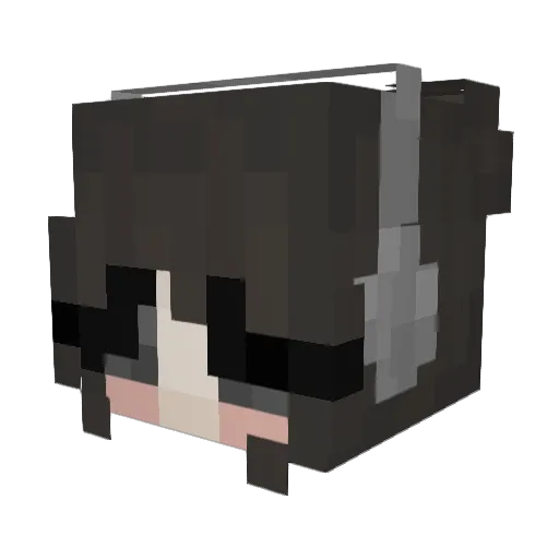Drpopz77 Minecraft avatar head, 3D render