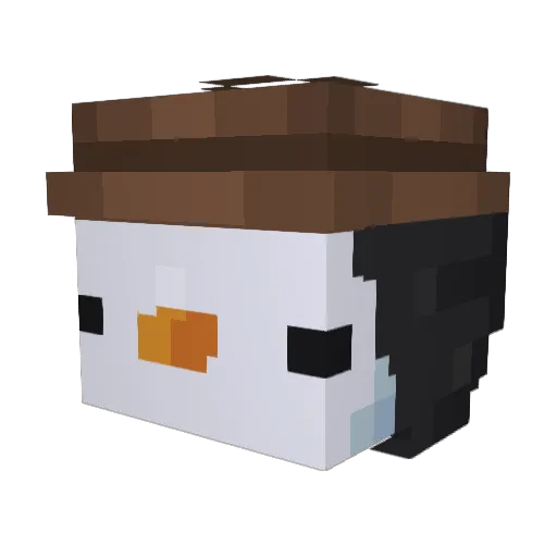 DrrazER1 Minecraft avatar head, 3D render